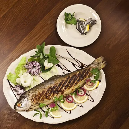 Lido 게스트하우스 Antonin (Ostrow Wielkopolski)